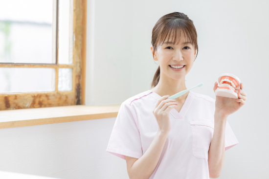 歯ブラシと歯の模型を持って笑顔を見せる歯科衛生士の女性