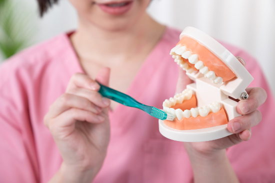 ブラッシング指導をする歯科衛生士の手元