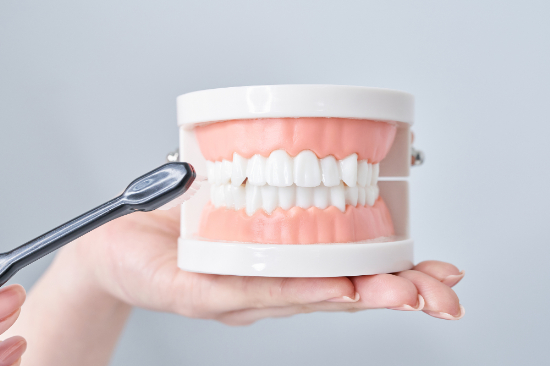 歯周病の進行を抑えるための歯磨きの仕方を指導する歯科衛生士