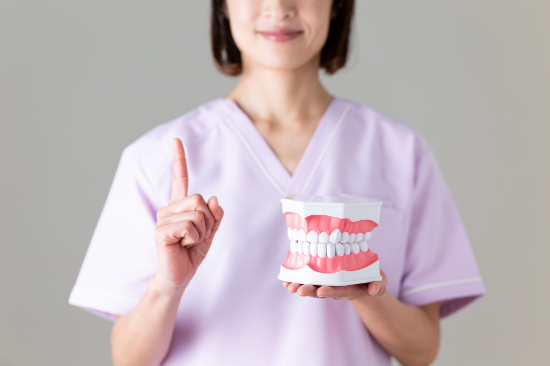 歯の模型を手に後戻りについて説明する歯科医